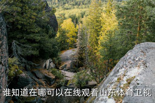 誰知道在哪可以在線觀看山東體育衛視