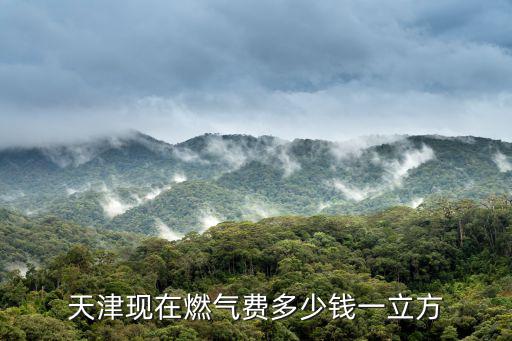 天津現在燃氣費多少錢一立方