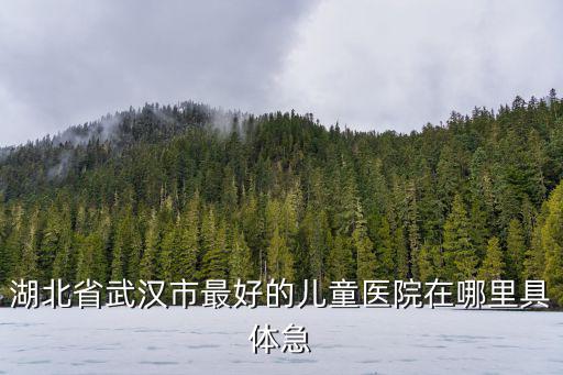 湖北省武漢市最好的兒童醫(yī)院在哪里具體急
