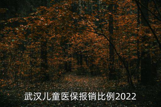 武漢兒童醫(yī)保報銷比例2022