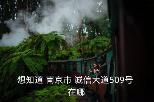 誠信大道，想知道 南京市 誠信大道509號 在哪