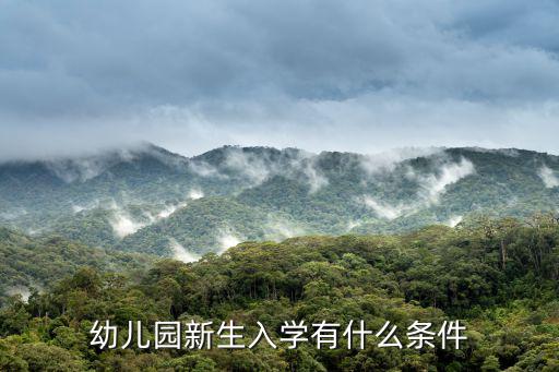 幼兒園新生入學有什么條件