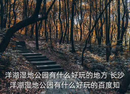 洋湖濕地公園有什么好玩的地方 長沙洋湖濕地公園有什么好玩的百度知