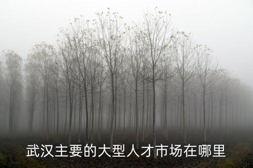 武漢主要的大型人才市場在哪里