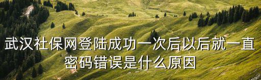 武漢社保網(wǎng)登陸成功一次后以后就一直密碼錯(cuò)誤是什么原因