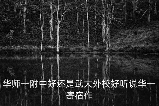 華師一附中好還是武大外校好聽說華一寄宿作