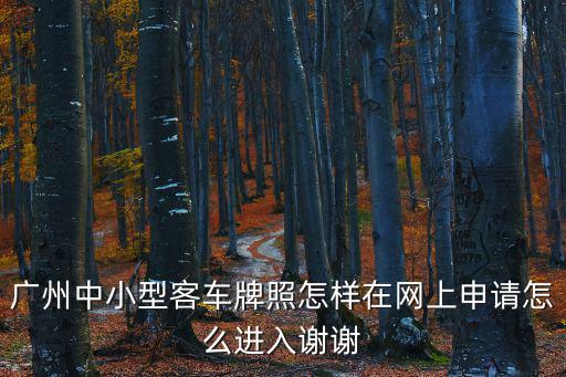 廣州中小型客車牌照怎樣在網(wǎng)上申請(qǐng)?jiān)趺催M(jìn)入謝謝