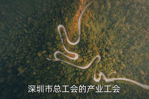 深圳市總工會的產業工會