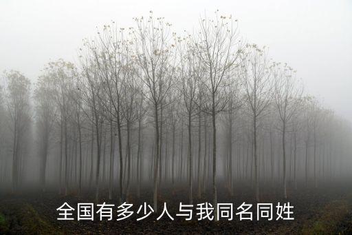 全國有多少人與我同名同姓