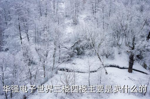 華強電子世界三樓四樓主要是賣什么的