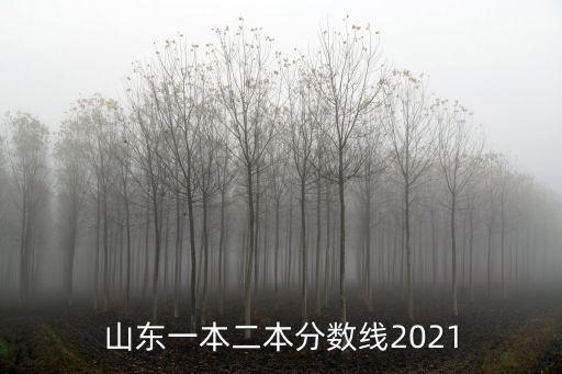 山東二本分數線，山東今年二本線是多少