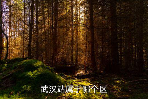 武漢站屬于哪個區