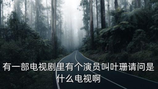 有一部電視劇里有個演員叫葉珊請問是什么電視啊