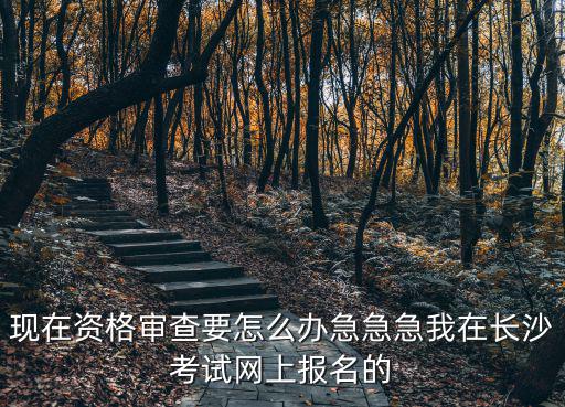 長沙市人事考試網(wǎng)，現(xiàn)在資格審查要怎么辦急急急我在長沙考試網(wǎng)上報名的
