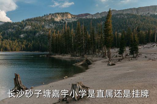 長沙砂子塘嘉宇小學是直屬還是掛牌