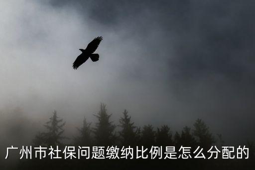 廣州市社保問題繳納比例是怎么分配的
