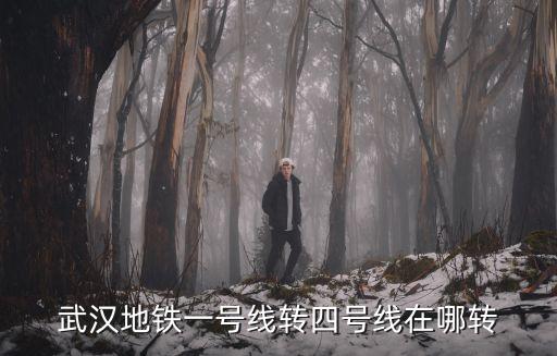 武漢地鐵一號線轉(zhuǎn)四號線在哪轉(zhuǎn)