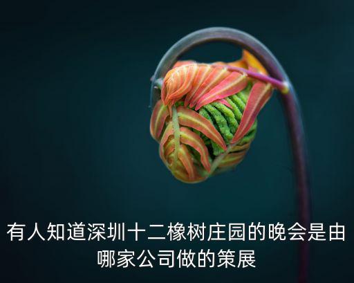 有人知道深圳十二橡樹莊園的晚會(huì)是由哪家公司做的策展