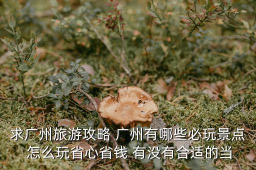 求廣州旅游攻略 廣州有哪些必玩景點(diǎn) 怎么玩省心省錢 有沒有合適的當(dāng)