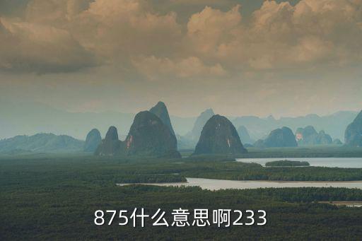 875什么意思啊233