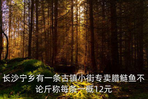 道林古鎮，從長沙西站到道林鎮要多久