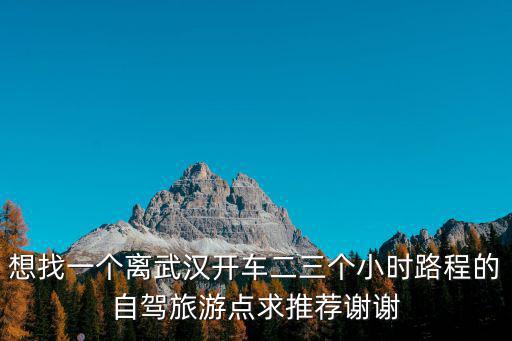 想找一個離武漢開車二三個小時路程的自駕旅游點求推薦謝謝