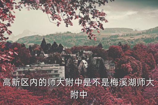 高新區(qū)內(nèi)的師大附中是不是梅溪湖師大附中