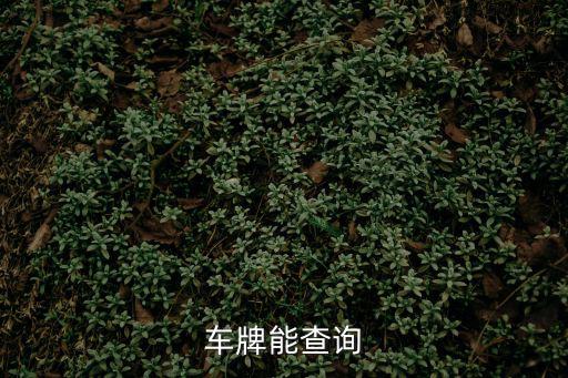 電動(dòng)車(chē)車(chē)牌號(hào)查詢(xún)系統(tǒng)，車(chē)牌能查詢(xún)