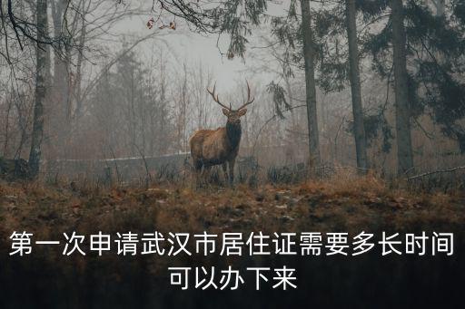 第一次申請(qǐng)武漢市居住證需要多長(zhǎng)時(shí)間可以辦下來(lái)