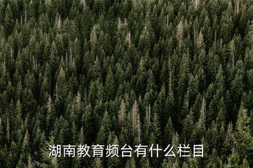 湖南教育頻臺有什么欄目