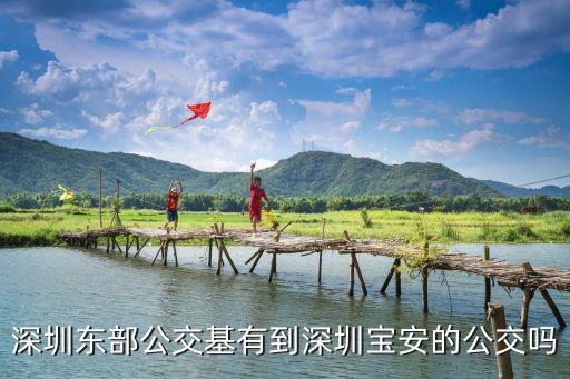 深圳東部公交基有到深圳寶安的公交嗎