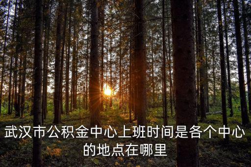 武漢市公積金中心上班時(shí)間是各個(gè)中心的地點(diǎn)在哪里