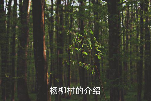楊柳村，重慶酉陽龔灘古鎮有沒有楊柳村