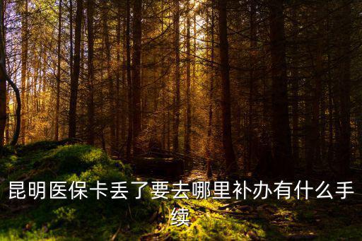 醫保卡在哪里補辦，昆明醫保卡丟了要去哪里補辦有什么手續