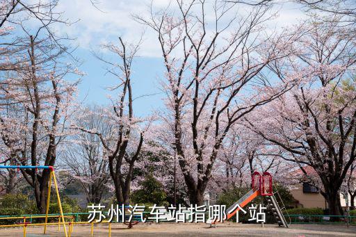 蘇州汽車站，蘇州汽車站指哪個站