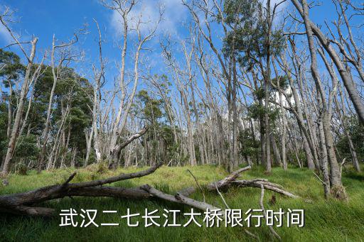 武漢二七長江大橋限行時間
