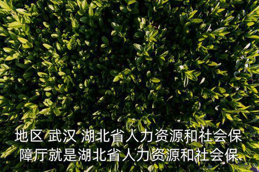 地區 武漢 湖北省人力資源和社會保障廳就是湖北省人力資源和社會保