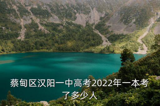 蔡甸區漢陽一中高考2022年一本考了多少人