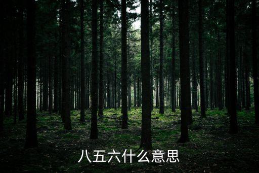 八五六什么意思