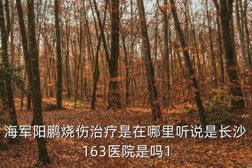 海軍陽(yáng)鵬燒傷治療是在哪里聽(tīng)說(shuō)是長(zhǎng)沙163醫(yī)院是嗎1