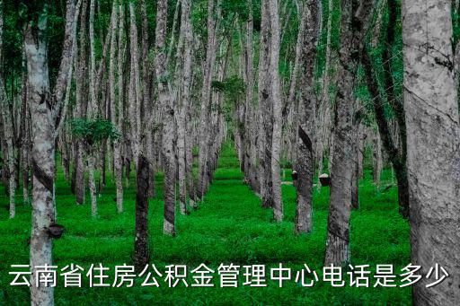 公積金電話，云南省住房公積金管理中心電話是多少