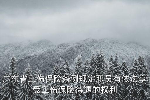 廣東省工傷保險條例規(guī)定職員有依法享受工傷保險待遇的權(quán)利
