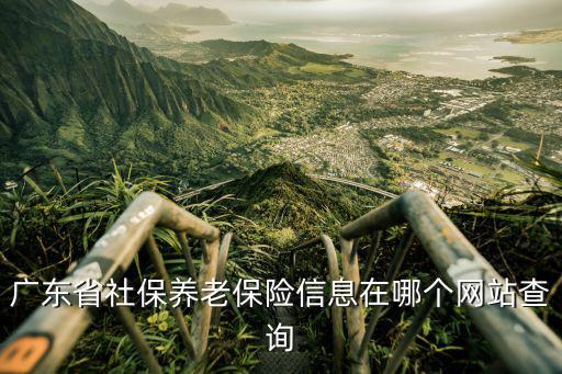 廣東省社保養(yǎng)老保險信息在哪個網站查詢