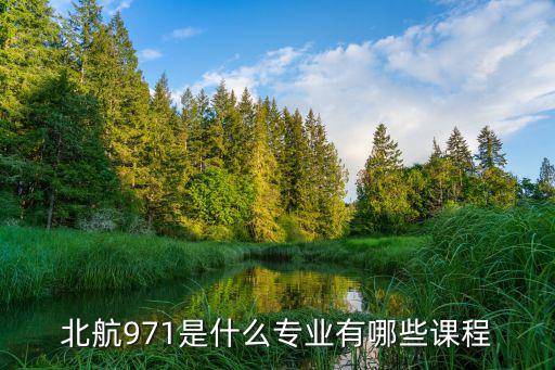 北航971是什么專業有哪些課程