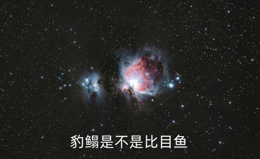 豹鰨是不是比目魚