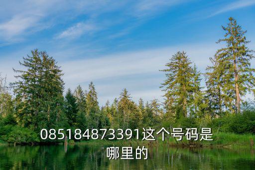 085184873391這個號碼是哪里的