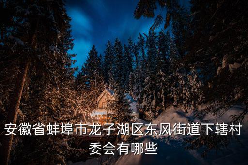 安徽省蚌埠市龍子湖區東風街道下轄村委會有哪些