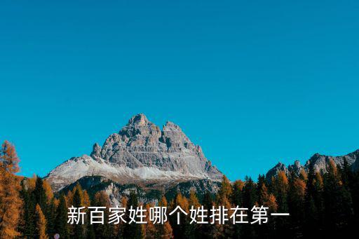 新百家姓哪個(gè)姓排在第一