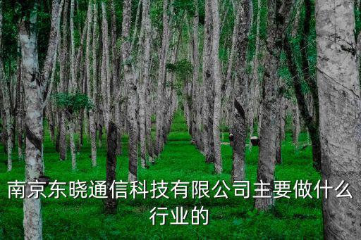 南京東曉通信科技有限公司主要做什么行業的