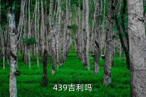 439吉利嗎